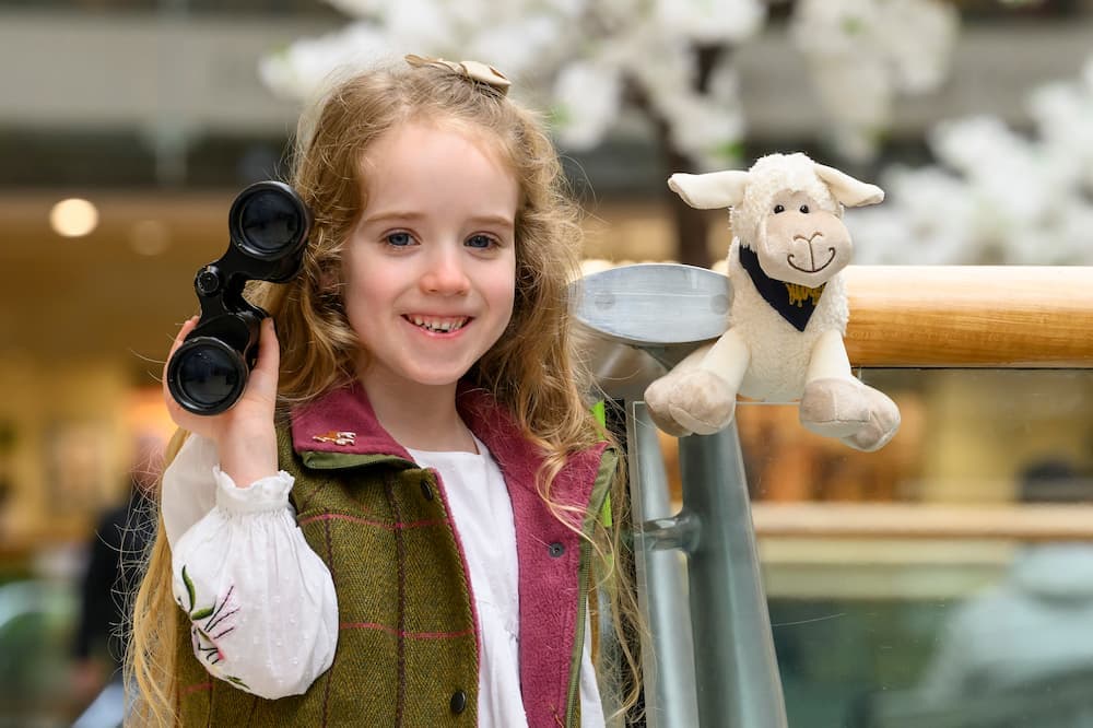 hide and sheep royal highland show