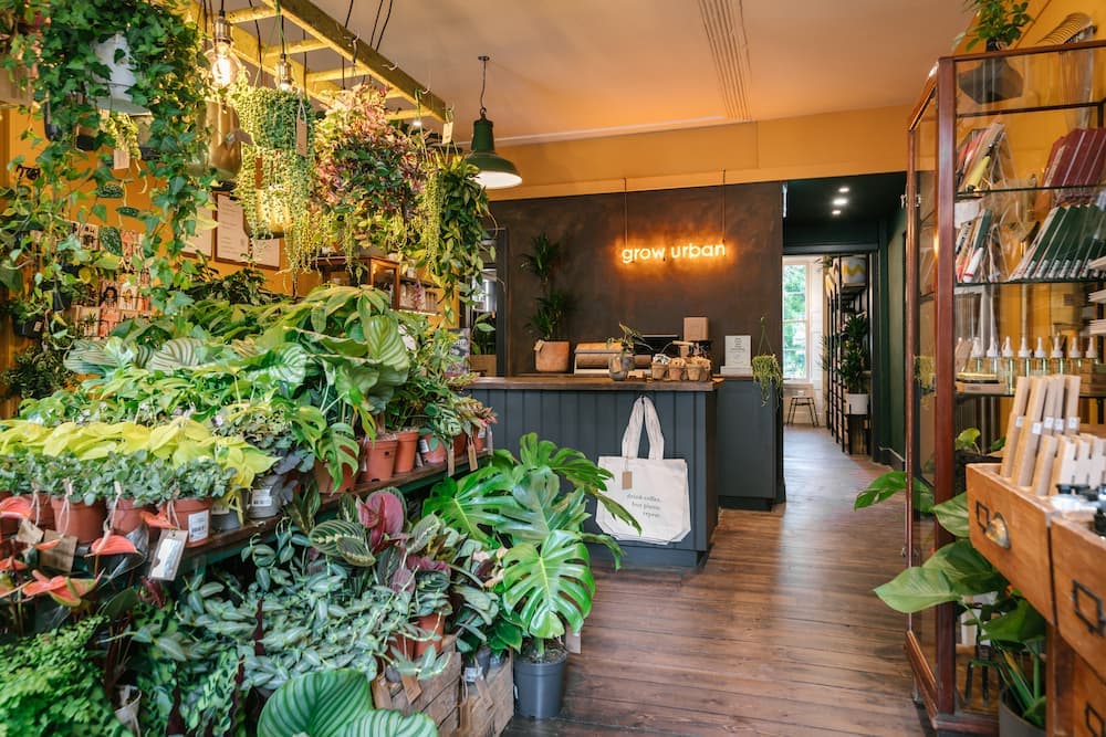 grow urban