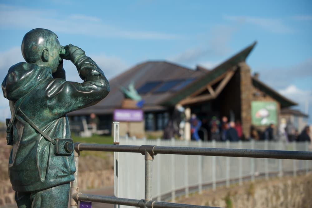 scottish seabird centre near Edinburgh