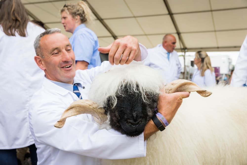 royal highland show