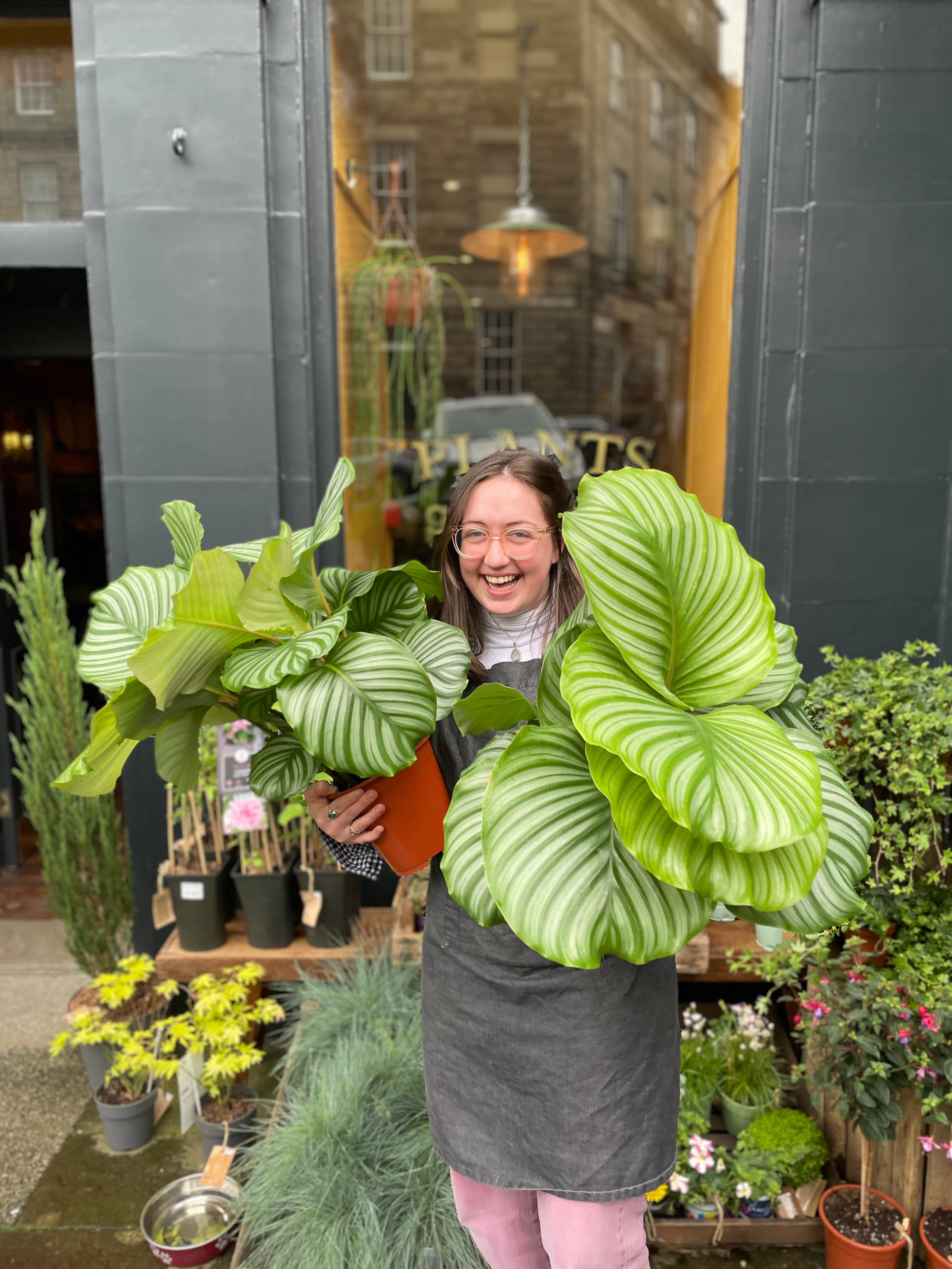 grow urban plant and staff