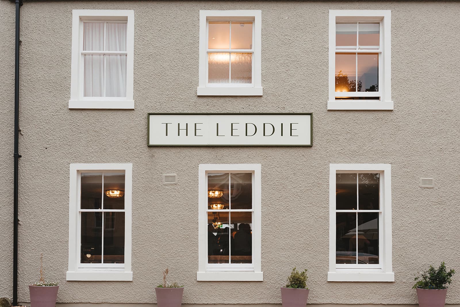the leddie